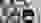 IMG 1115 IMG 1115